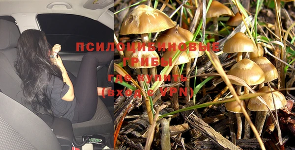 PSILOCYBIN Волоколамск